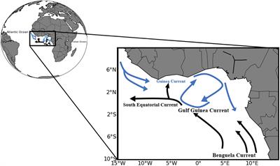 Relationship between the carbonate system and phytoplankton community in the Gulf of Guinea-Africa